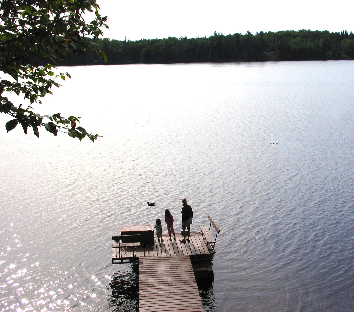 Equal doesn’t always mean fair in estate planning, especially when it comes to the family cottage