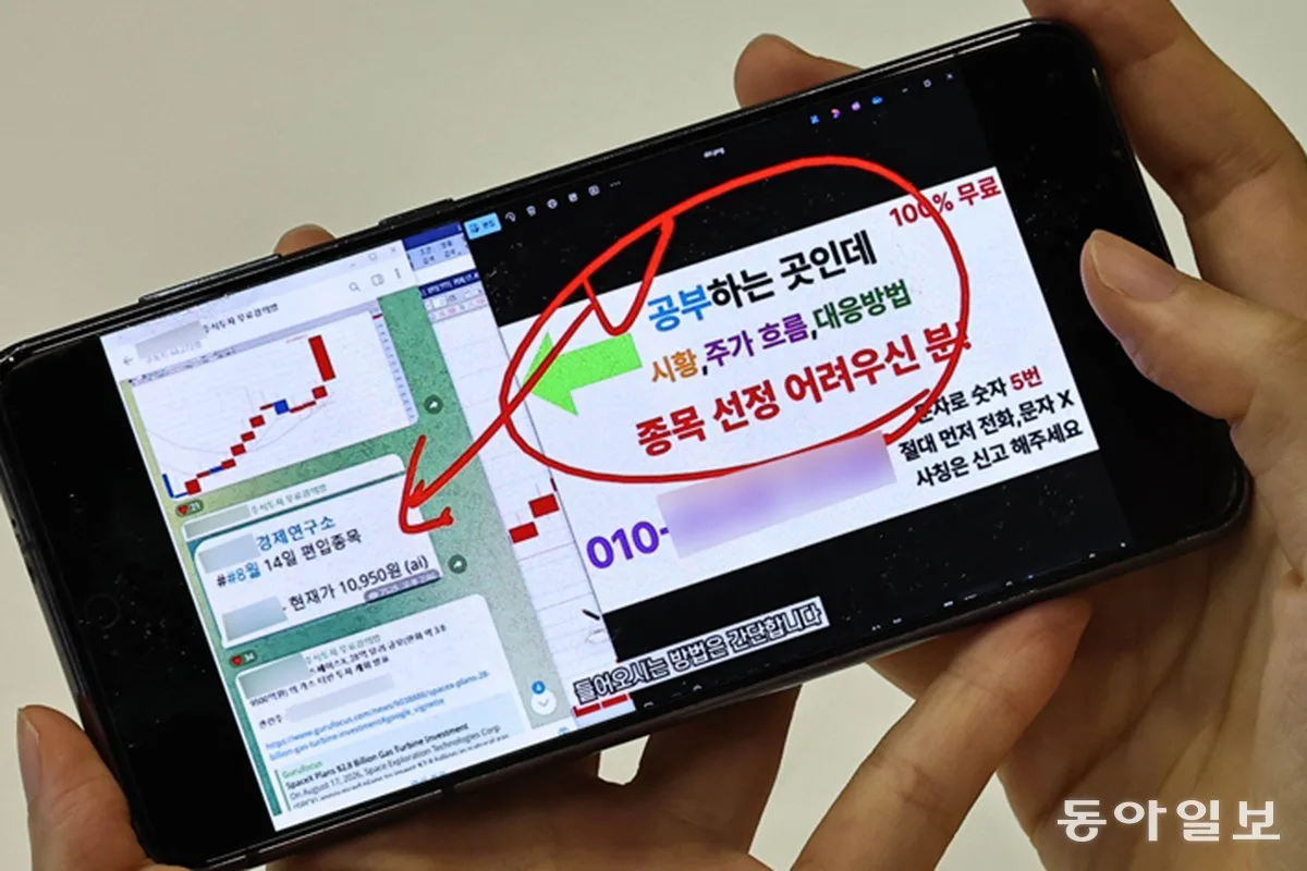 “핀플루언서 믿고 주식 투자” 반년만에 원금 날린 스무살