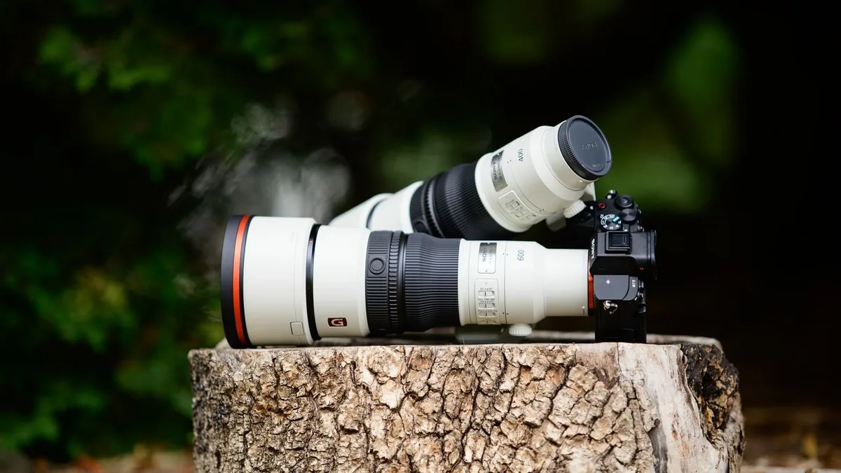 Sony’s new 400mm and 600mm super-telephoto primes make light work of a heavy hobby — here are my favorite wildlife photos I shot with the pair