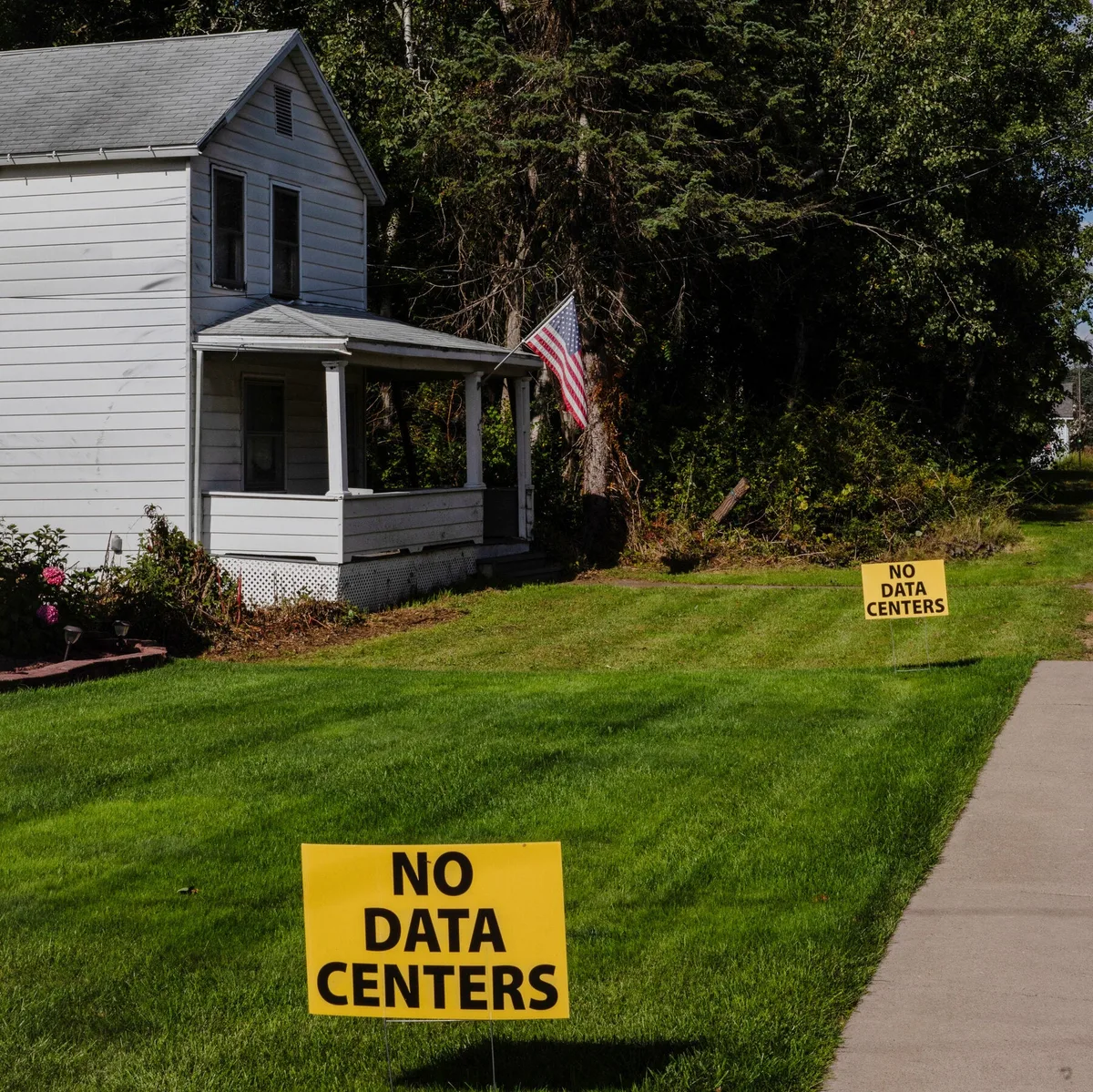 The Distrust Election