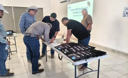 Chihuahua refuerza prevención ante gusano barrenador; capacita a productores para detectar casos