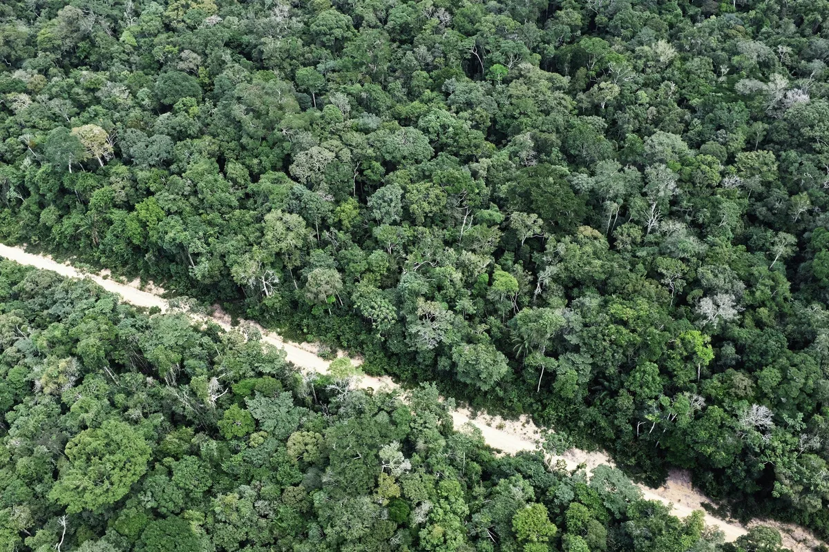 Au Brésil, la déforestation en Amazonie est au plus bas depuis près de 40 ans