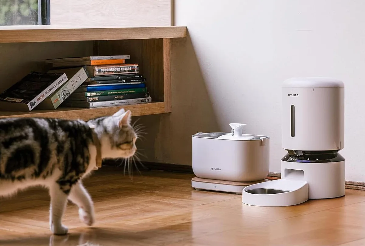 Pets Left in a Ruff Spot After Automatic Feeders Go Down