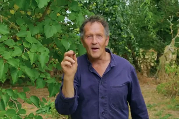 Monty Don issues August warning to anyone with fruit tree in garden amid drought