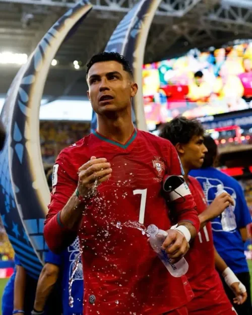 Ronaldo 'probably' in last year of career