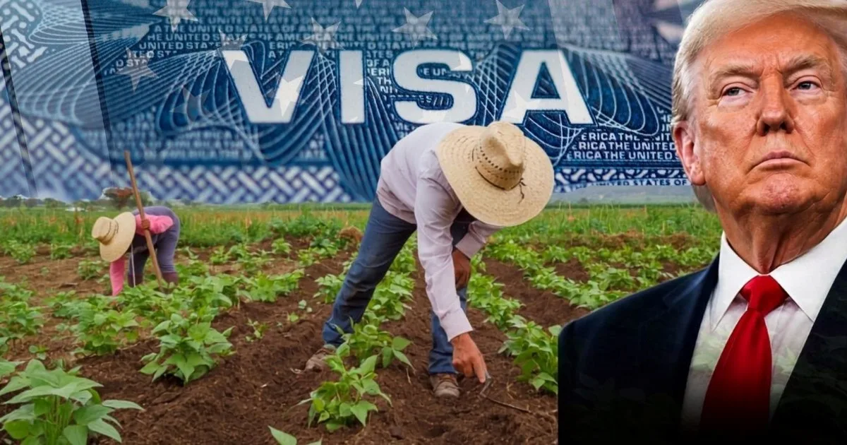 Medida oficial confirmada | La Justicia impide a Trump reducir los salarios mínimos de los trabajadores con visas H2-A y deja sin efecto la orden ejecutiva