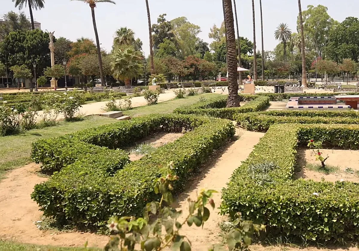 El Ayuntamiento de Sevilla destina medio millón a restaurar la jardinería de la Plaza de América para el centenario del 29