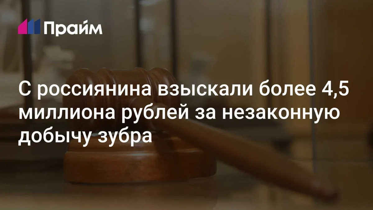 С россиянина взыскали более 4,5 миллиона рублей за незаконную добычу зубра