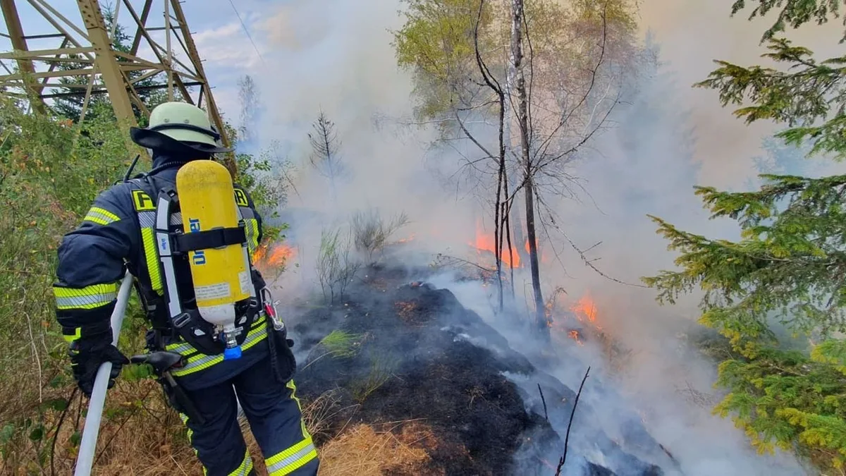Hunderte Feuerwehrleute: Brand in steilem Waldstück bei Schramberg unter Kontrolle