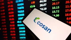 Em mais um passo de seu plano de desalavancagem, Cosan encaminha venda de Porto de São Luís por R$ 300 milhões