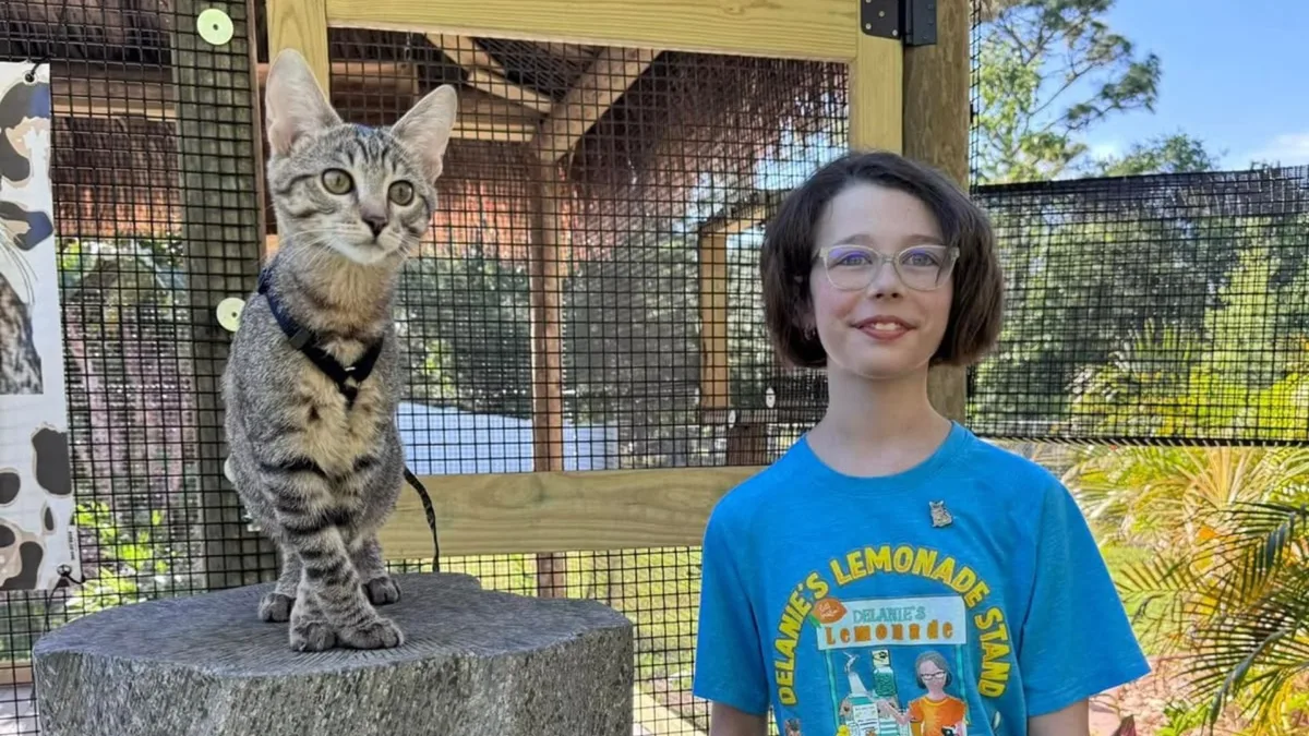 “Todo empezó con una pequeña idea”: la inspiradora historia de la niña de 11 años que recaudó más de 61.000 dólares para ayudar a animales sin hogar