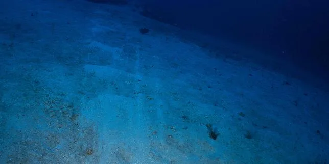 Protéger un tiers des terres et de l’océan d’ici à 2030, un objectif crucial pour la biodiversité encore loin d’être atteint