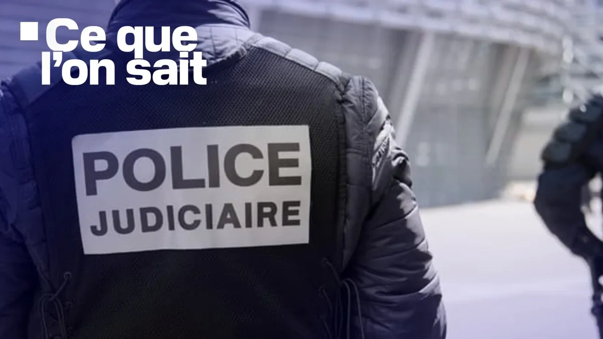 Ce que l'on sait sur la découverte d'un corps calciné dans le Gard, "probablement" celui de l'influenceuse Sonia Bellina