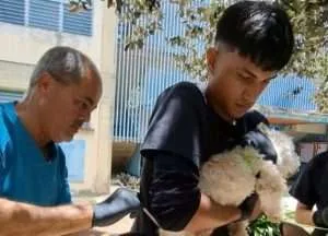 Aplicadas más de 900 vacunas antirrábicas a mascotas en Aragua