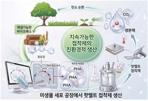 석유대신 대장균으로 접착제 제조…KAIST, 대장균 대사경로 설계