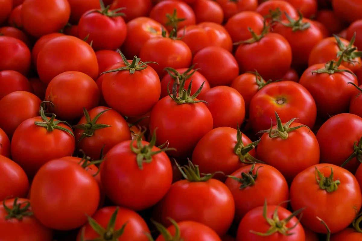 Fitoeno: composto presente em tomates pode prevenir gordura no fígado