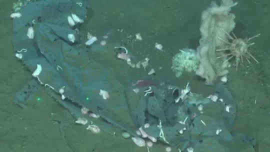 Científicos argentinos afirman que el fondo del mar argentino es un foco de contaminación irreversible