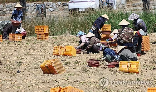 단 한 달 일하고 119개월치 추납…외국인 국민연금 수급 논란
