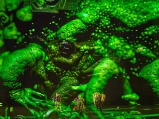 Opéra : la conception d’un spectacle avec l’IA récolte les huées au festival de Bayreuth en Allemagne