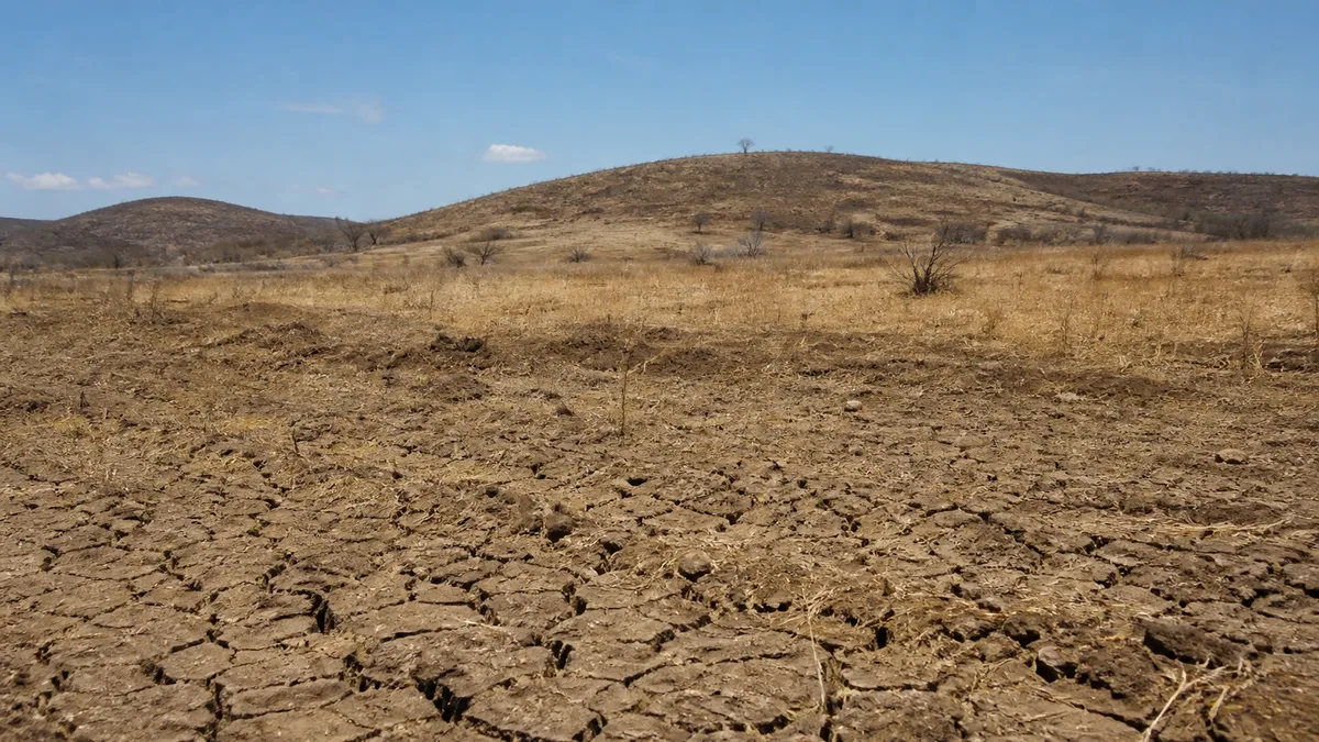 Desertificação e clima extremo pressionam pastores nômades na Mongólia