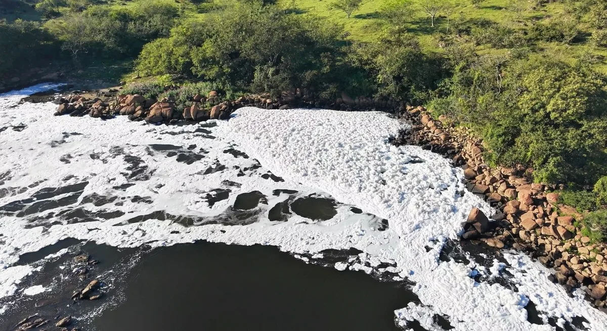 Espuma no Rio Tietê em Salto: entenda como resíduo afeta a natureza e quais medidas poderiam ser adotadas