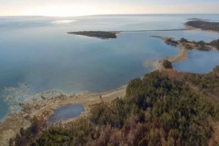 Whale sanctuary project secures 20-year Nova Scotia lease despite ongoing opposition