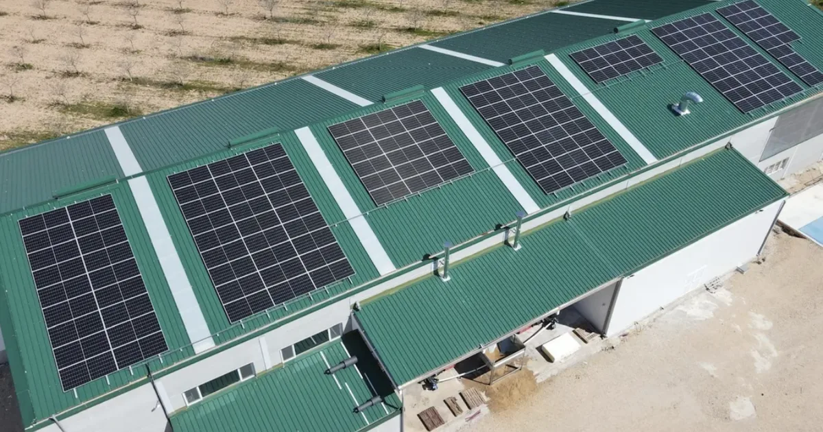 Uma unidade de processamento de pistache tornou-se uma ilha energética: 136 painéis solares e 108 kWh de baterias