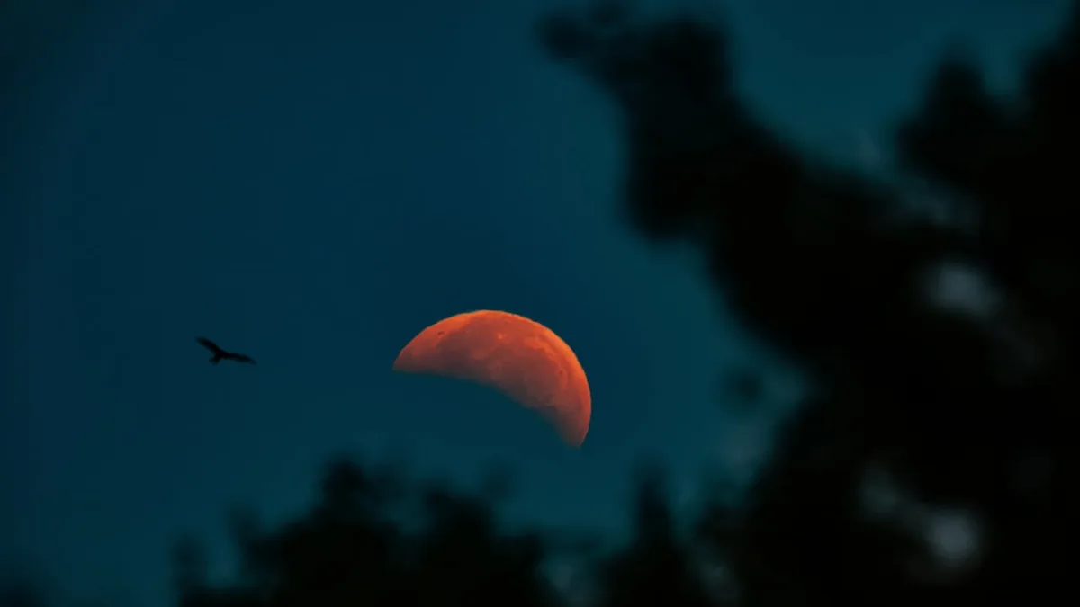 IN PHOTOS | Partial lunar eclipse here and abroad