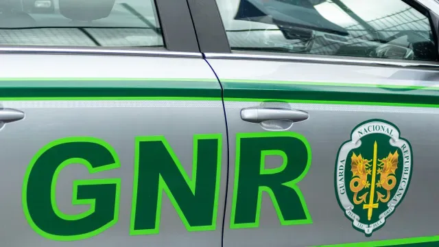 GNR investiga aparecimento de peixes mortos no rio Corgo em Vila Real