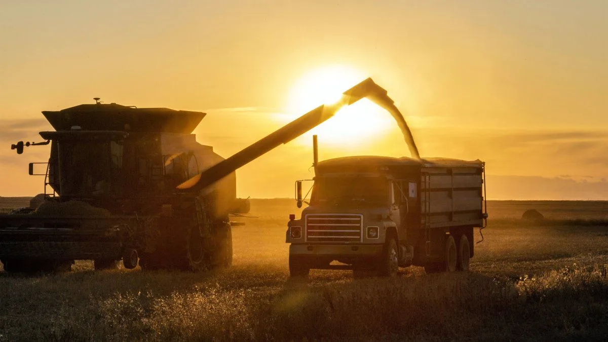 Presupuesto nacional 2027: el superávit del INTA se utilizará con fines financieros