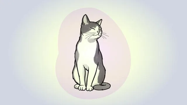 Körpersprache der Katze: Verstehen Sie Katzen?