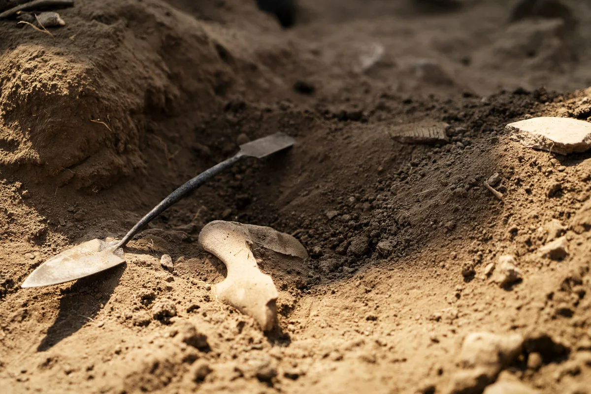 UNEARTHING HISTORIES: Hiss of brush, ring of trowel: the ancestors speak at Gwalala Hill