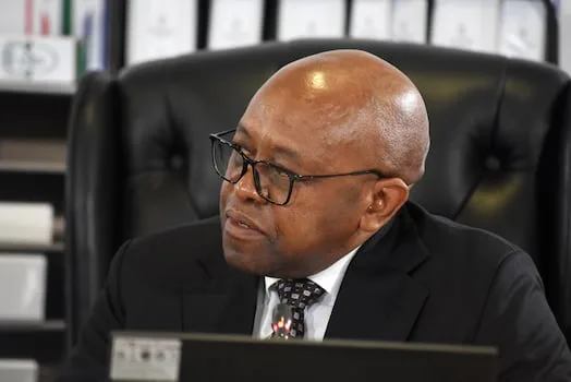 This is how SA can fight organised crime, expert tells Madlanga