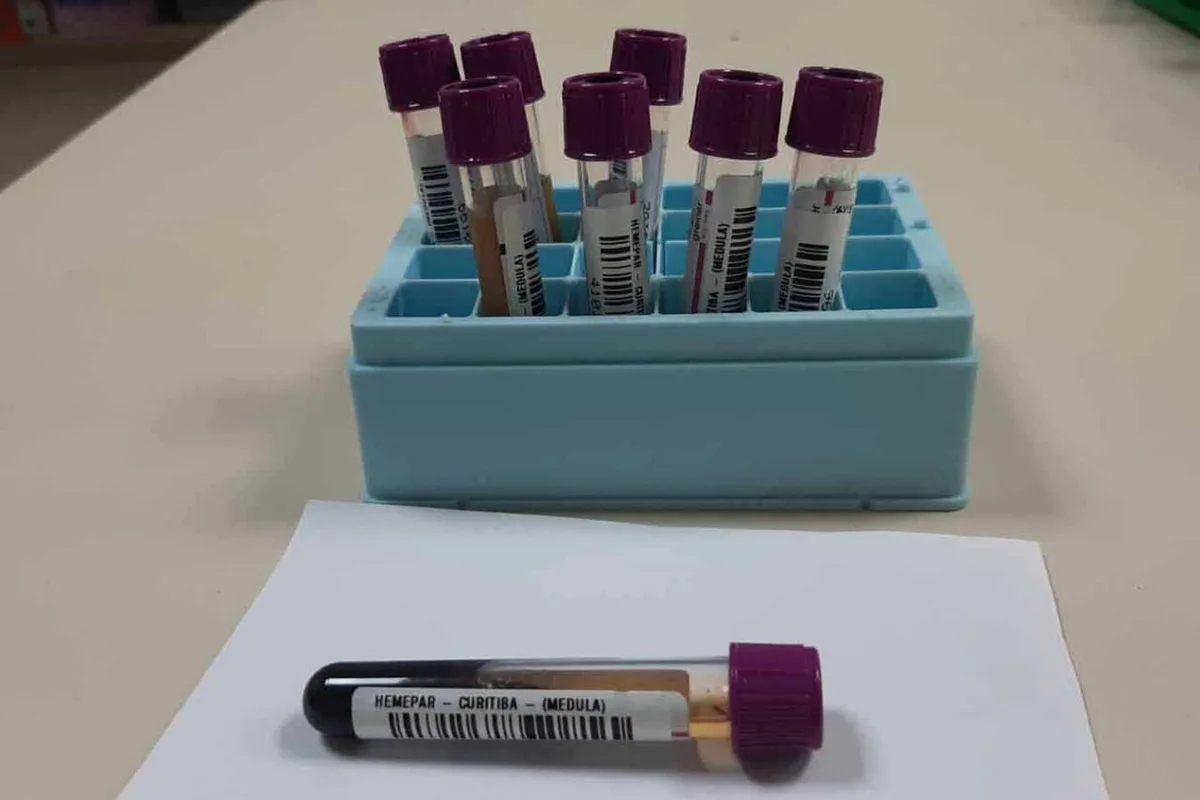 Paraná concentra 10% dos doadores de medula óssea do Brasil; veja como se cadastrar