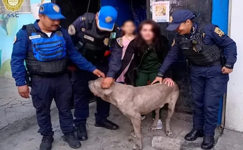 Policías rescatan a Canelo de un camellón en Iztacalco; logran reunirlo con su familia