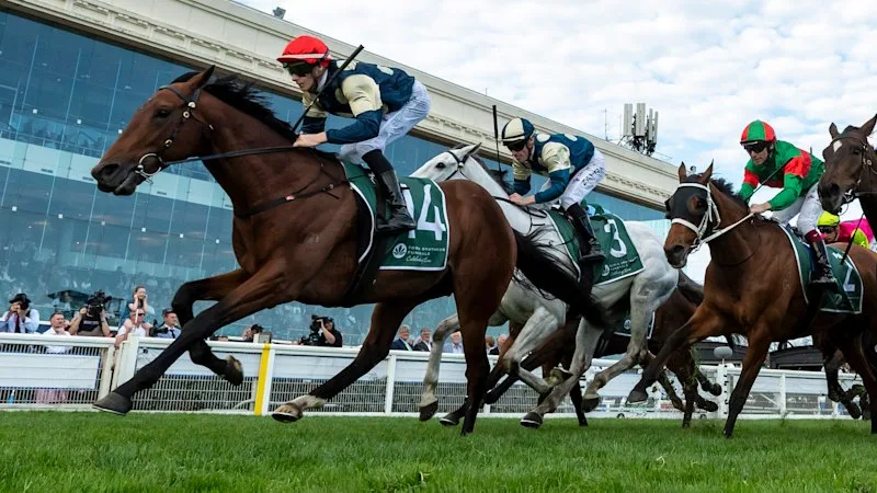 Maher than likely: The horse we expect to win the Caulfield Cup
