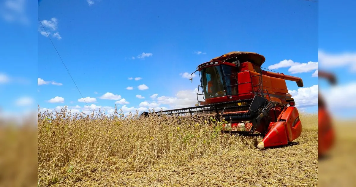 Valor da produção agrícola do Paraná cresce 21,9% e estado recupera posição no ranking nacional