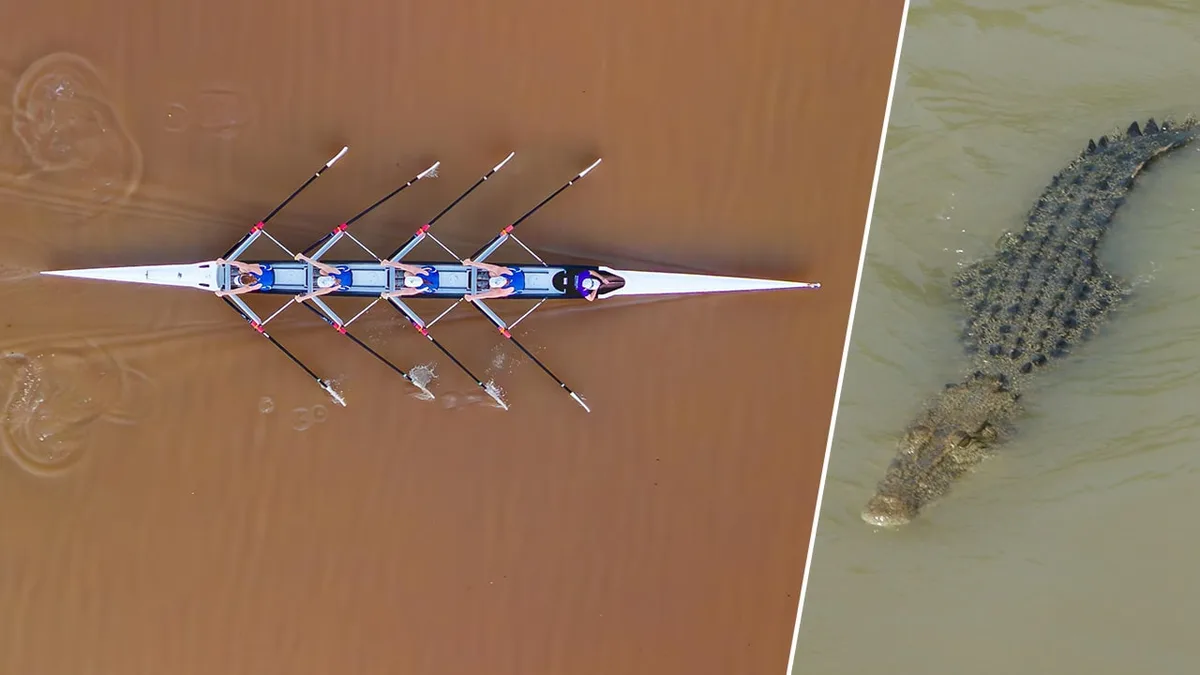 Trotz großer Bedenken - Olympia-Stars müssen durch Krokodilfluss rudern