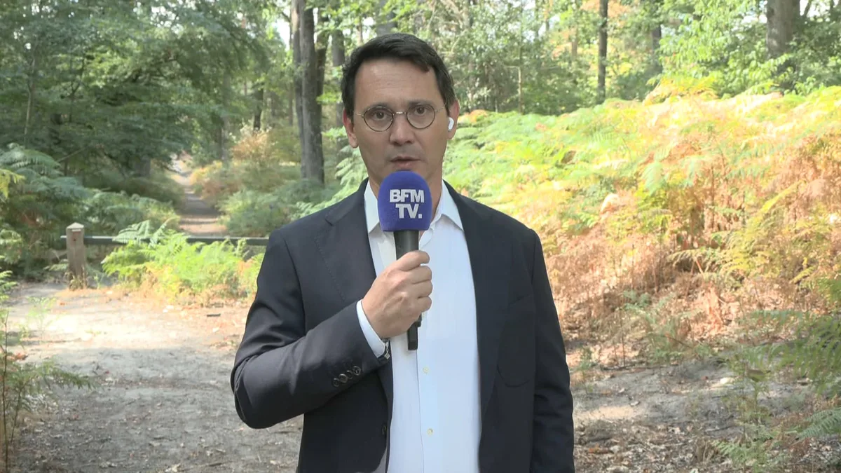 Fontainebleau: le maire "soulagé" de la réouverture de la forêt après l'incendie mais appelle à rester "vigilants" face aux "points chauds"