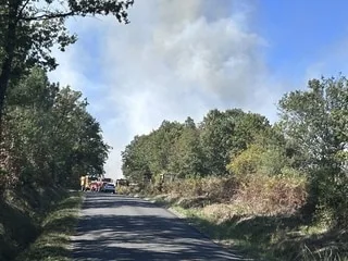 Cette forêt a brûlé de nouveau dans le Maine-et-Loire : le feu est fixé, les pompiers restent mobilisés