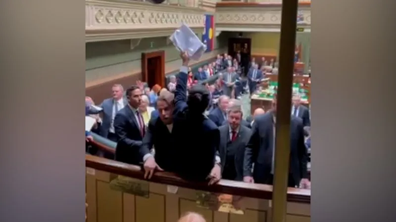 Climate protester disrupts NSW parliament