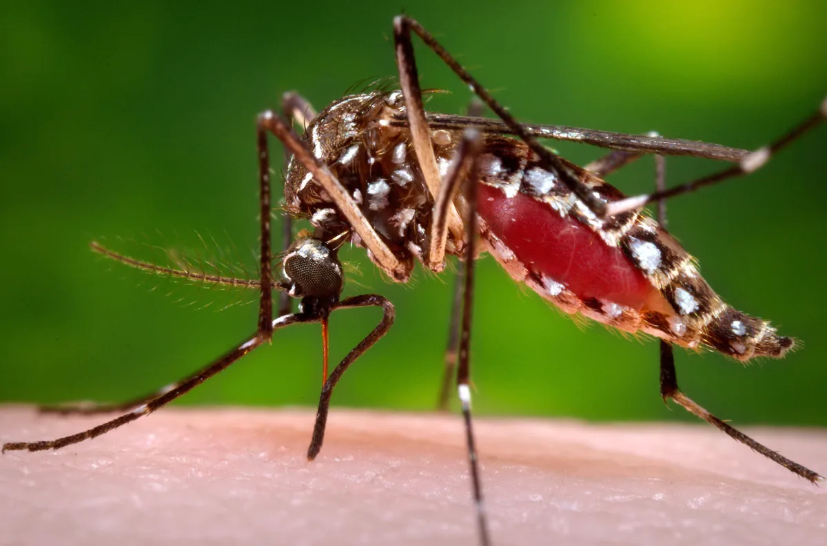 Cáncer, mosquitos y agua contaminada: así es la vida junto a la presa que recibe las aguas negras de CDMX