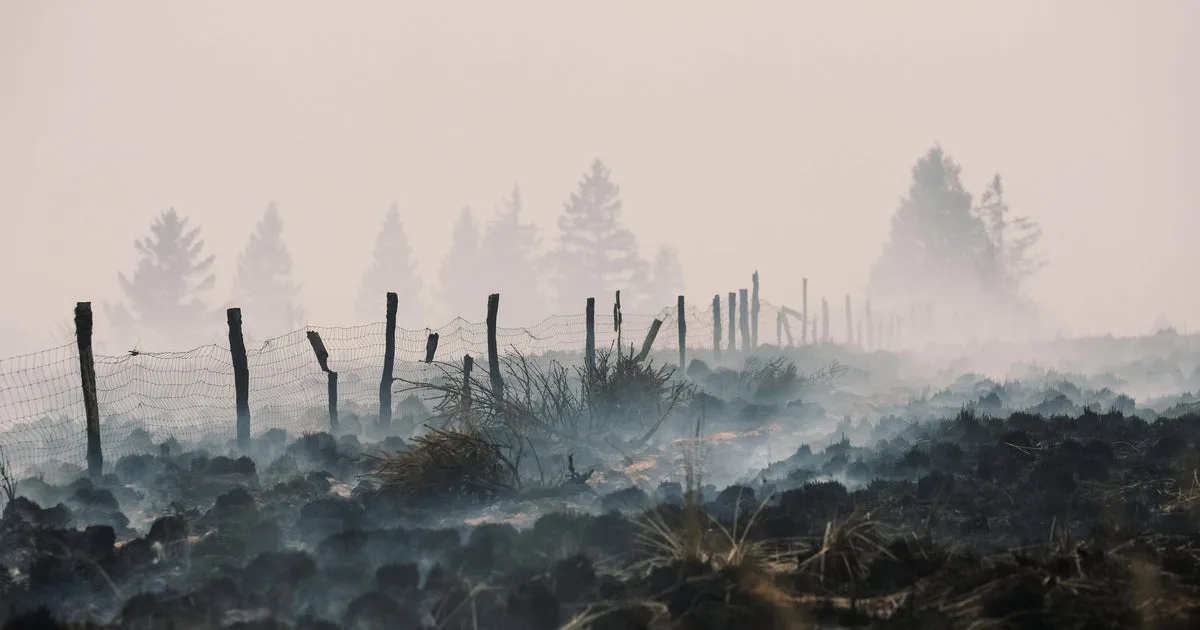 European wildfires expose, detonate buried explosives from past wars