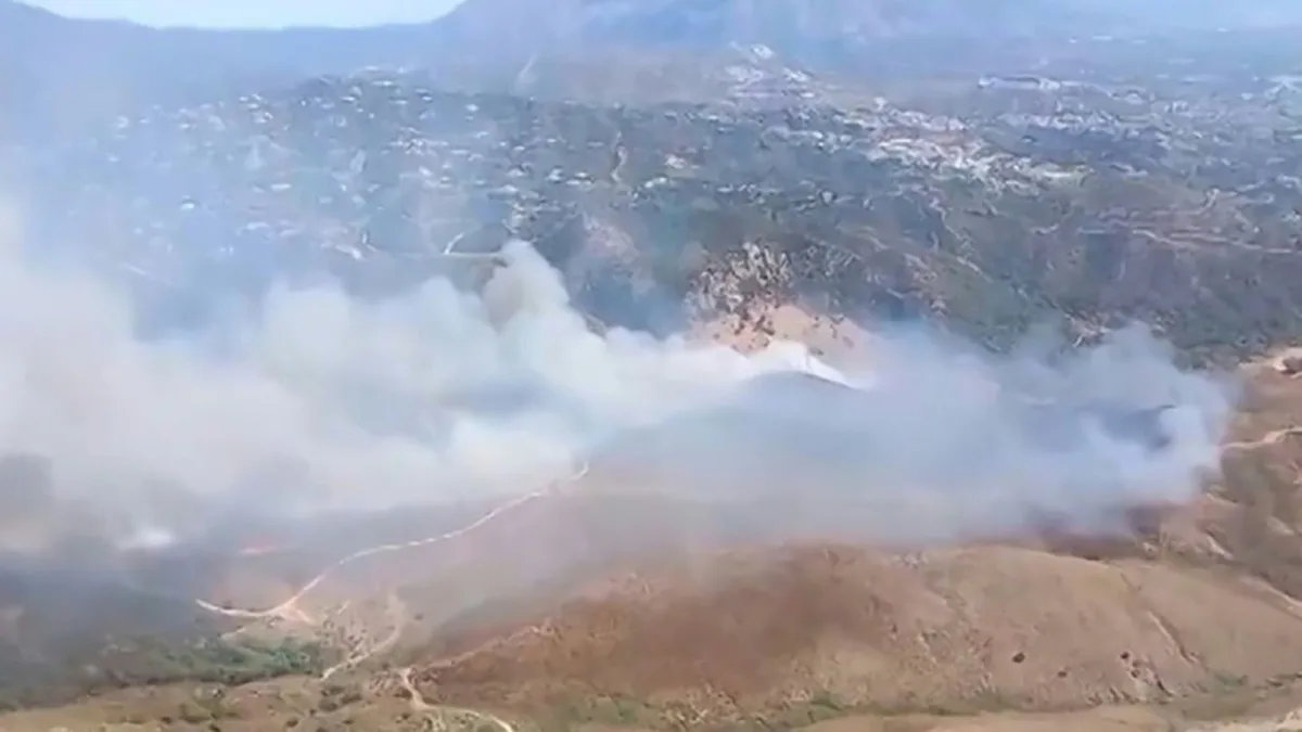 Drei Menschen bei Waldbrand an der Costa del Sol verletzt