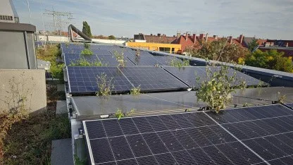 Mieterstrom: Wie kommt eine PV-Anlage aufs Dach einer WEG?