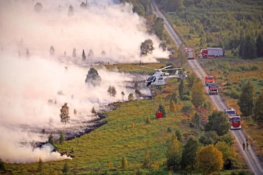 Belgium reports about 3,000 excess deaths over summer due to heat
