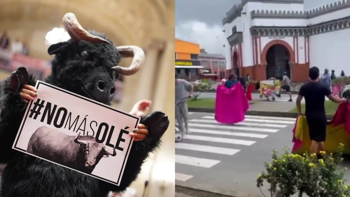 En video: un grupo de aficionados taurinos bloquearon vías de Manizales tras la cancelación de las corridas