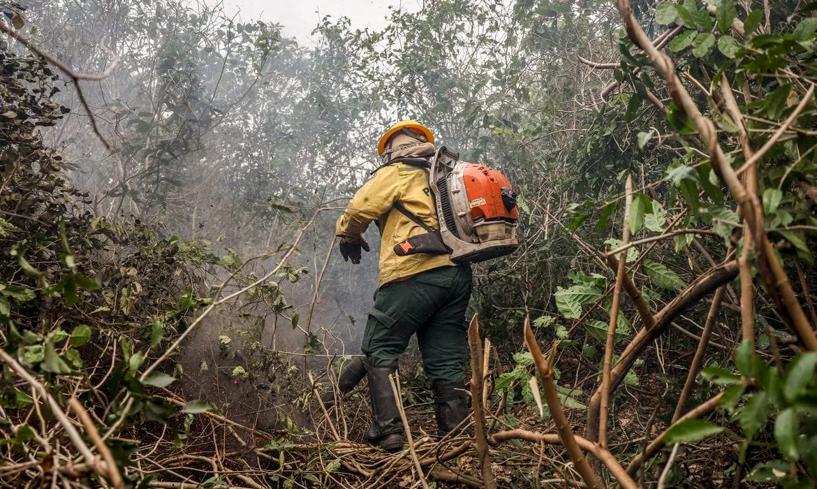 Incêdios no Amazonas resultam de ação humana intencional, diz ministro