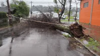 Temporais e tornado causaram destruição em 30 mil propriedades rurais no RS