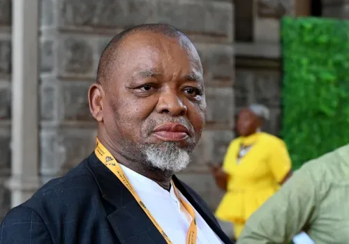 ‘Too young to understand alliance traditions’: Mantashe hits back at Malatji over Cosatu walkout